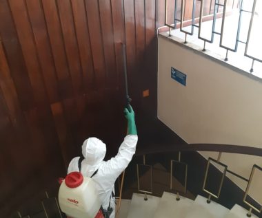 Trabalhos Variados