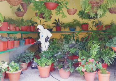 Trabalhos Variados